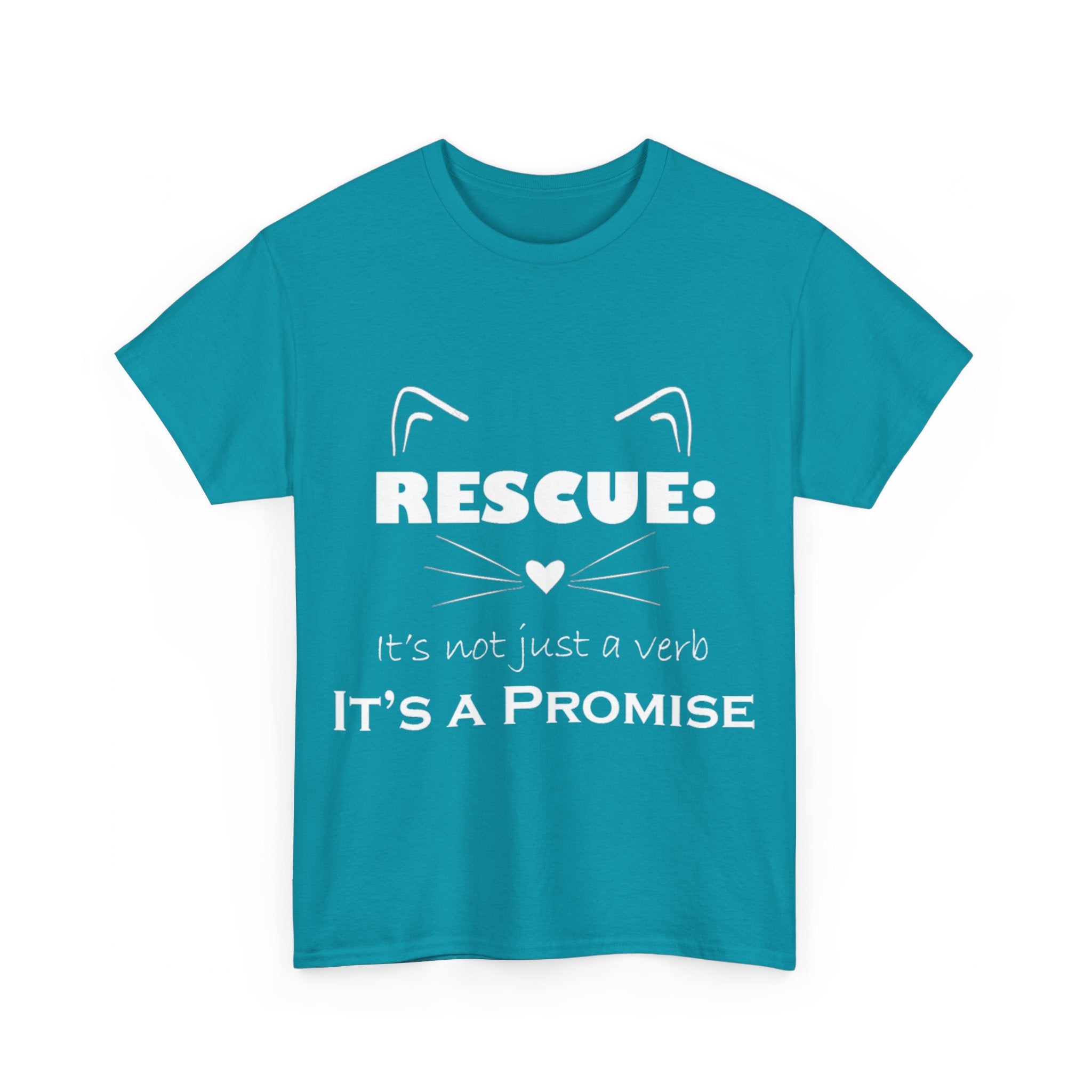 It's A Promise PAC Tshirt