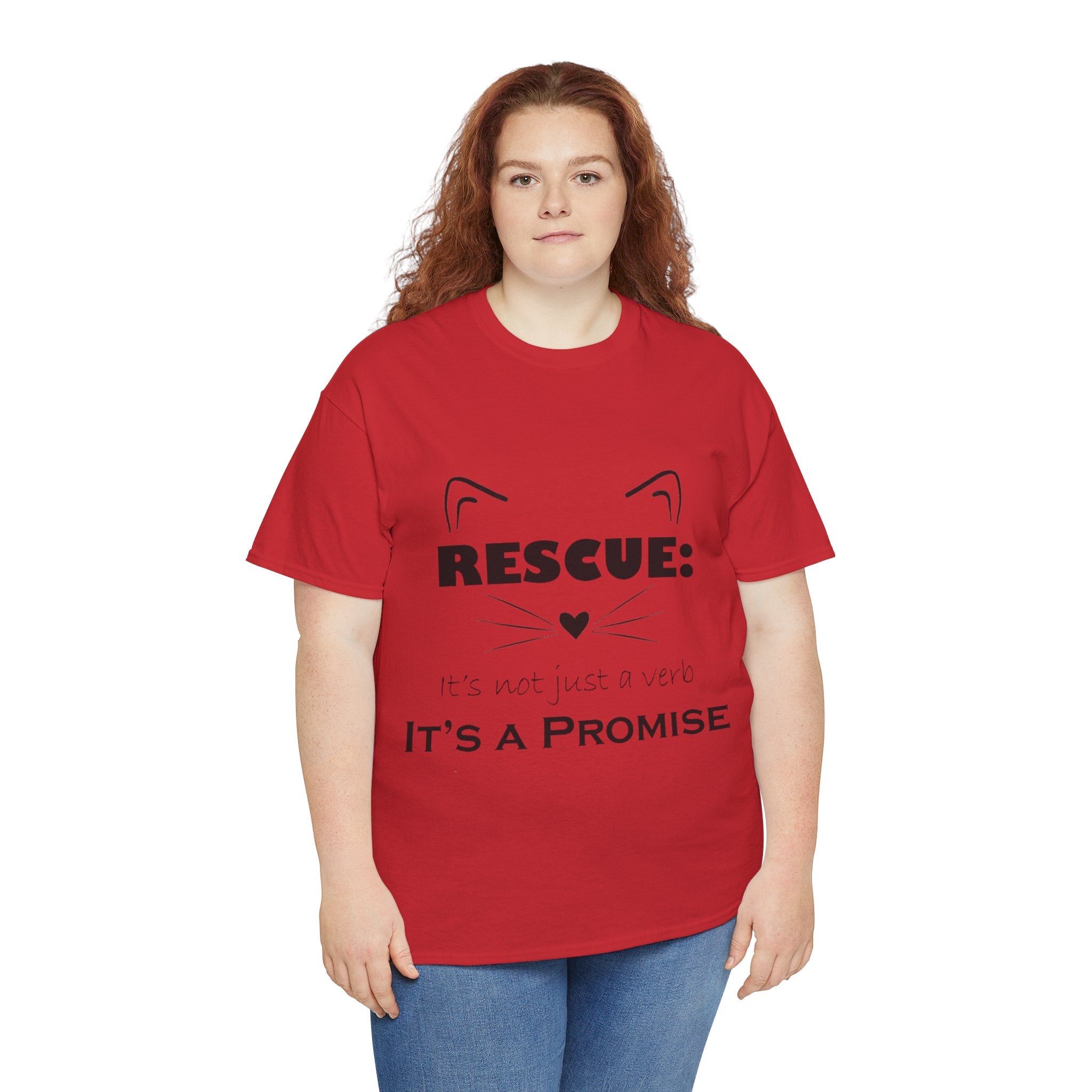 It's A Promise PAC Tshirt