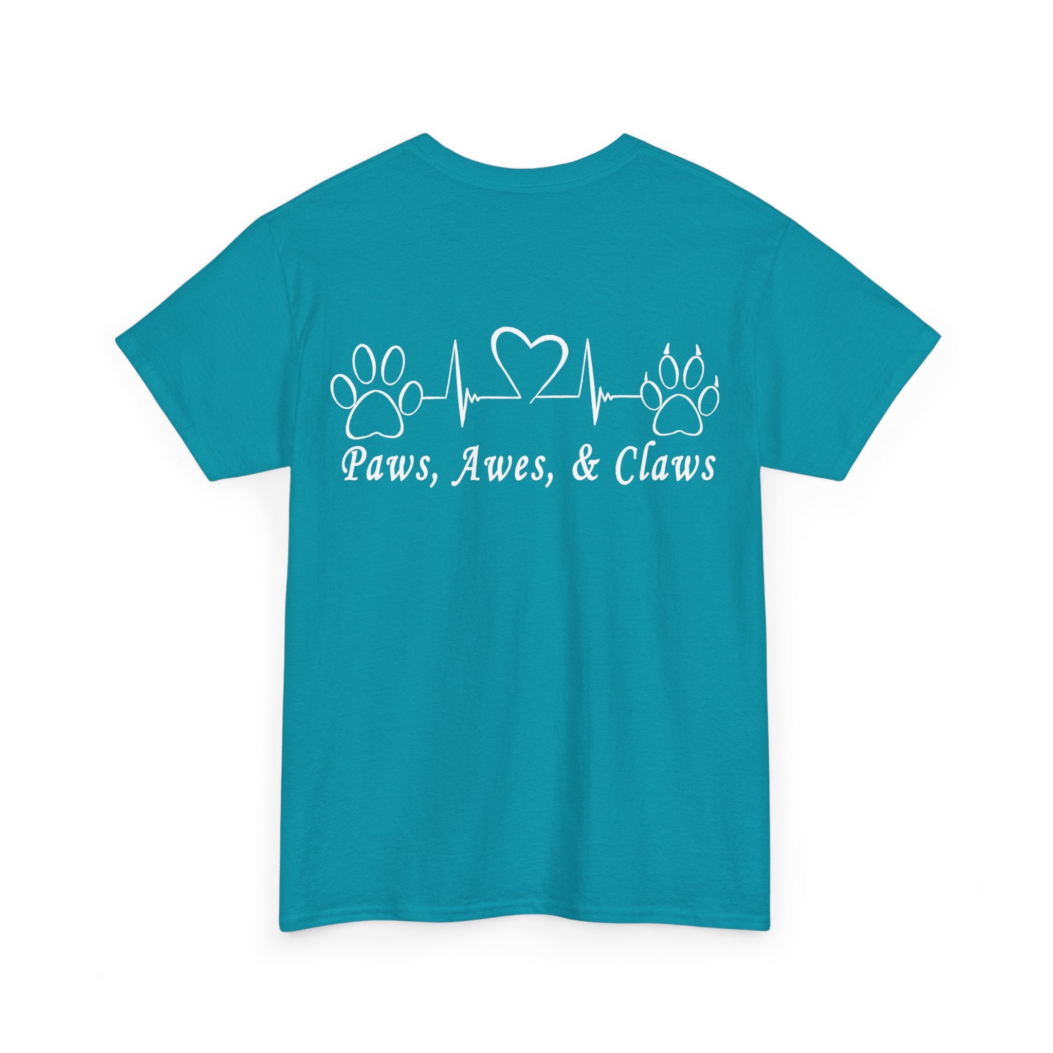 It's A Promise PAC Tshirt