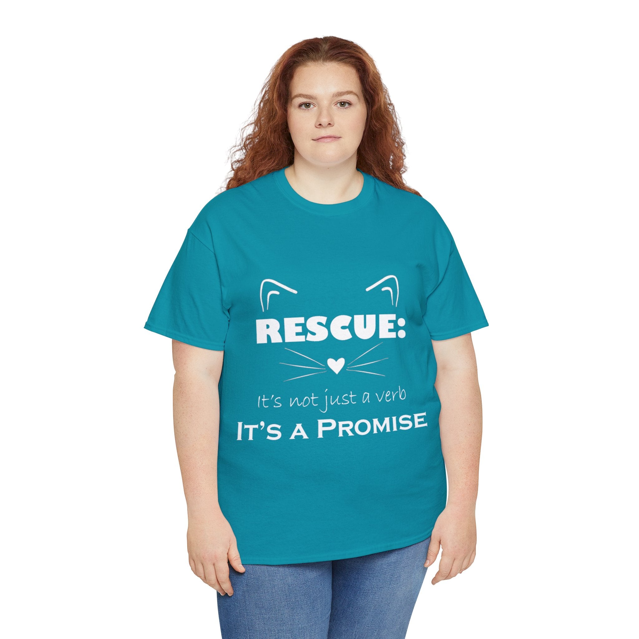 It's A Promise PAC Tshirt