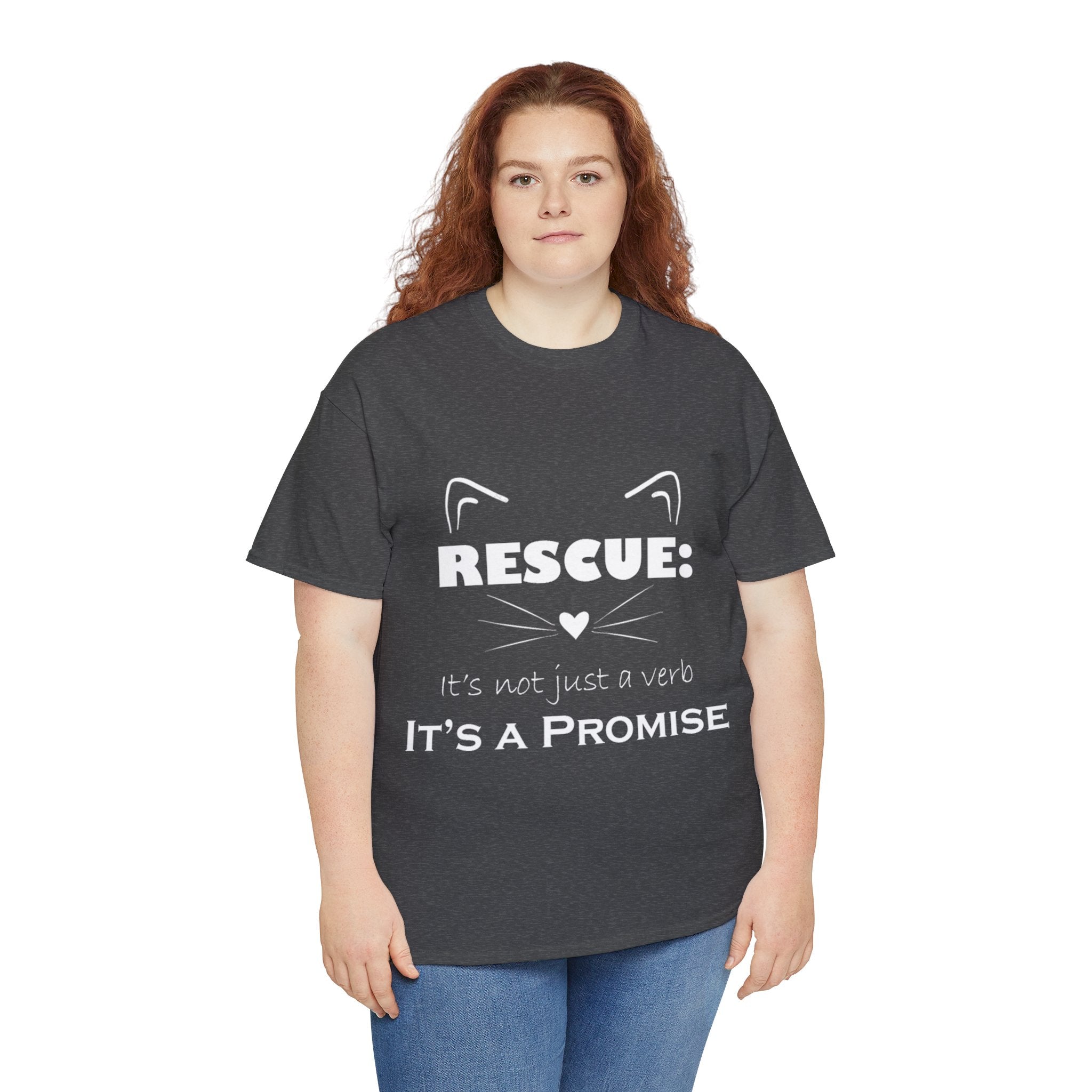 It's A Promise PAC Tshirt
