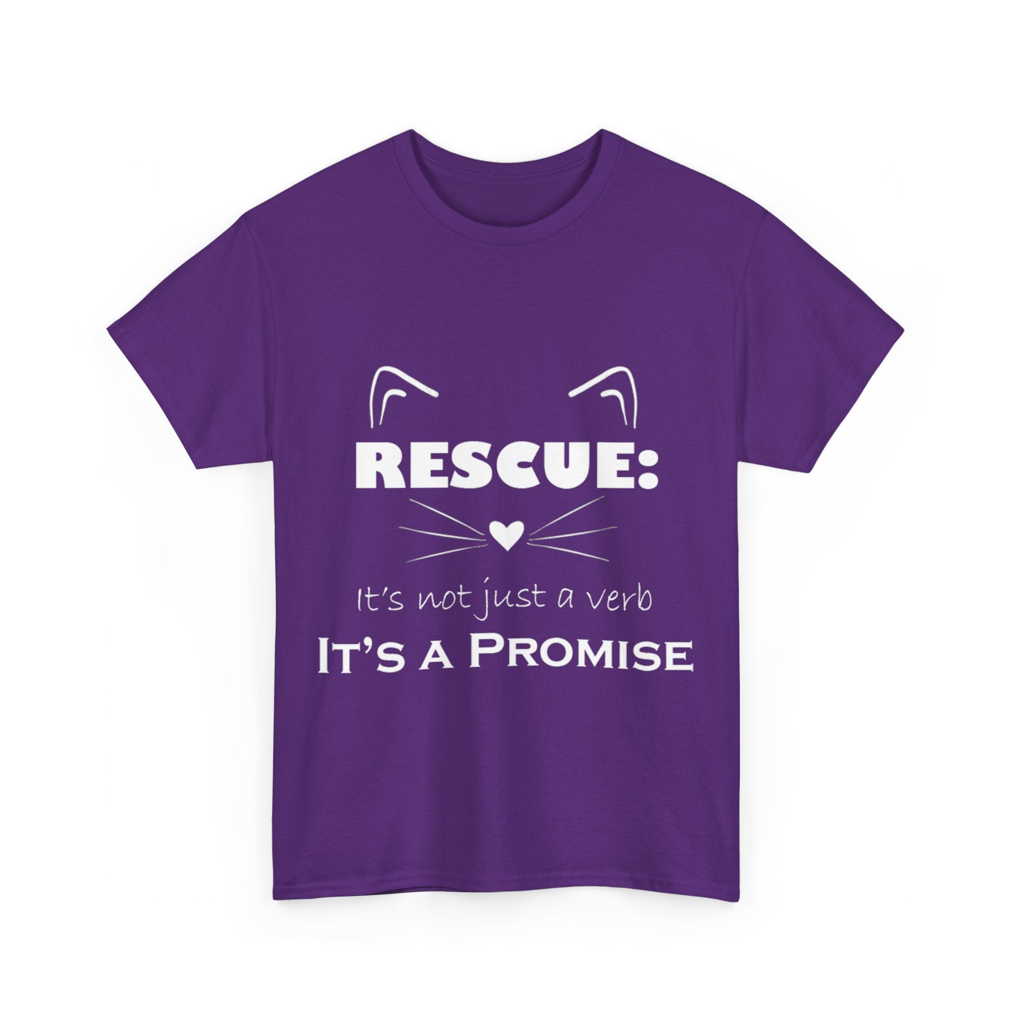 It's A Promise PAC Tshirt