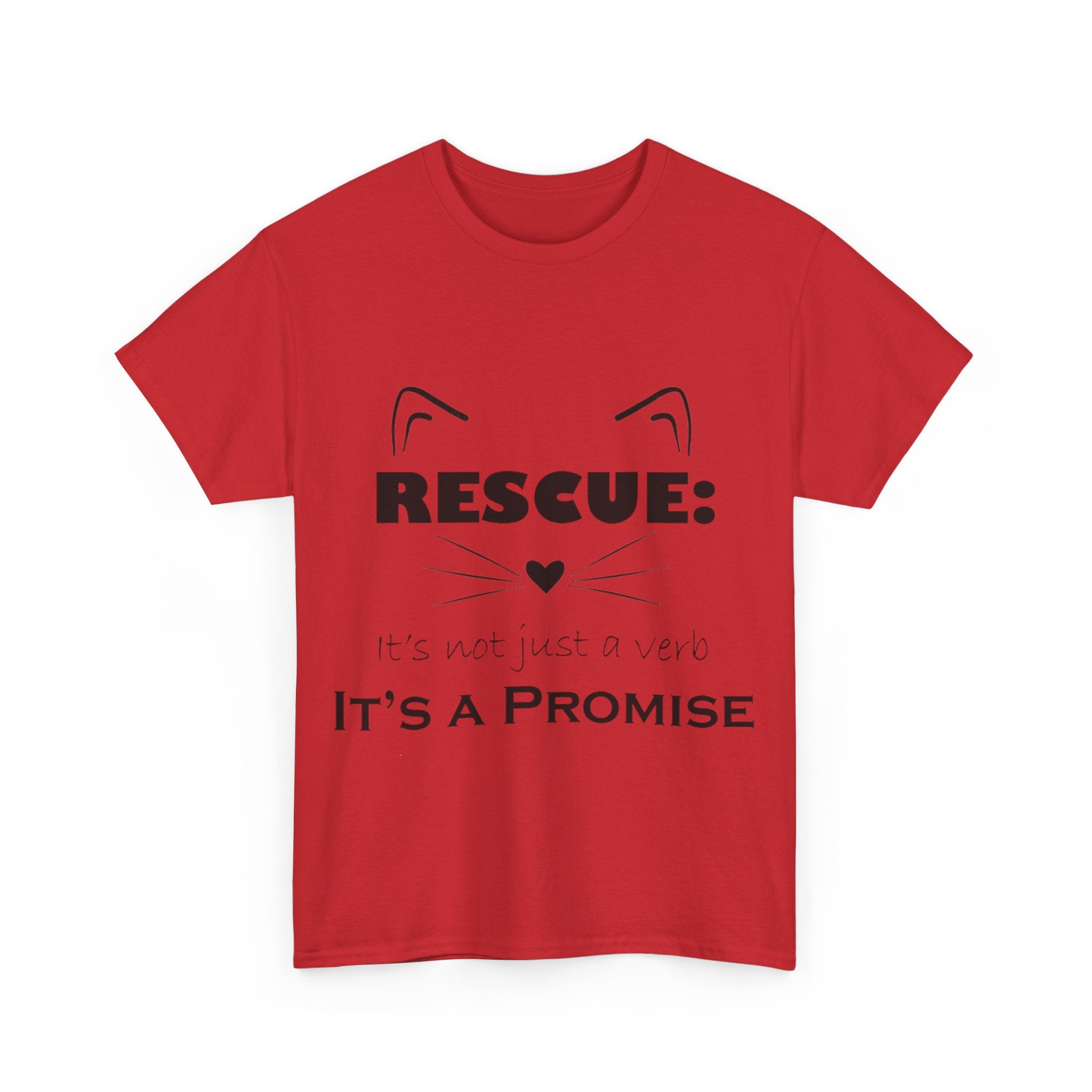 It's A Promise PAC Tshirt